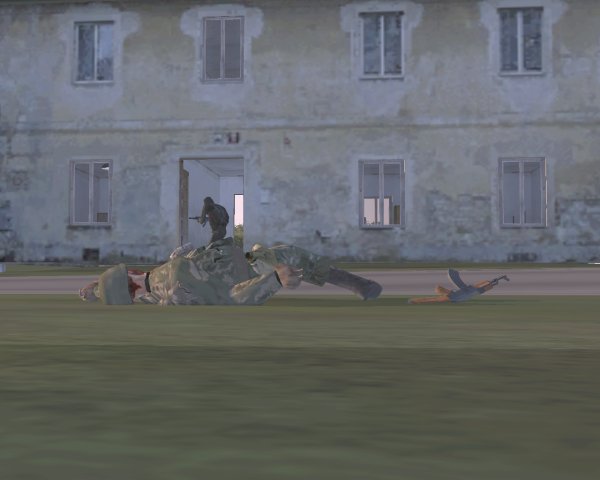 Casualty of War