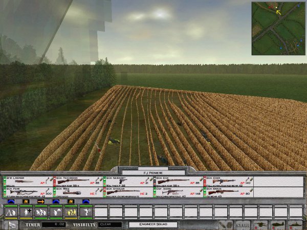Fields of wheat