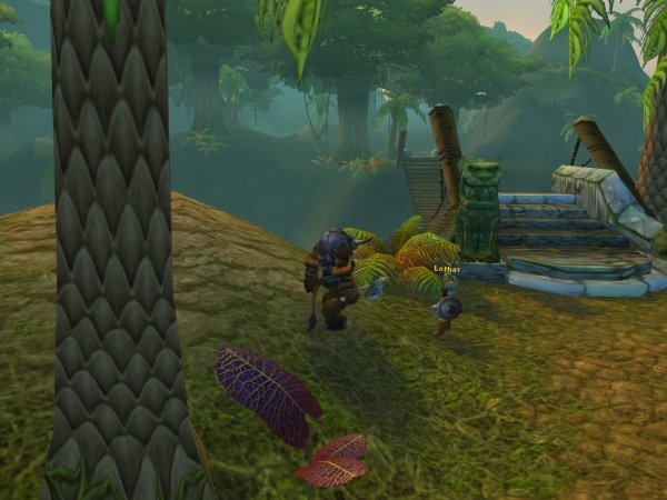 Stranglethorn