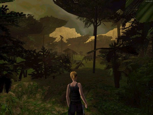 Jungle camp