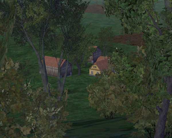 View from the trees