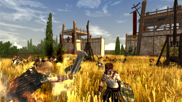 In the grain