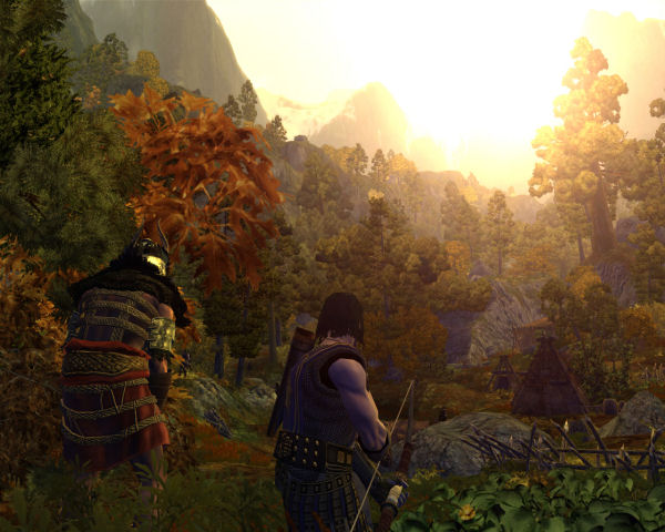 Wooded valley
