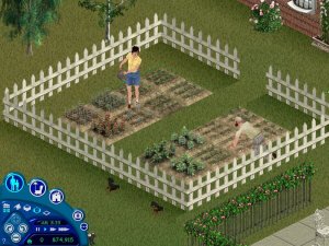 A Sim Garden