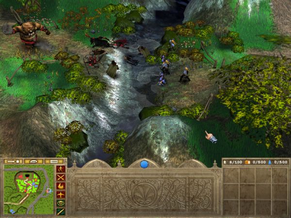 Forest fight