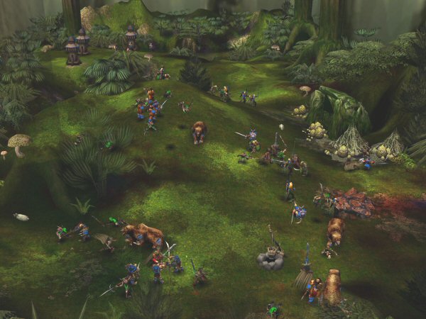 Forest fight