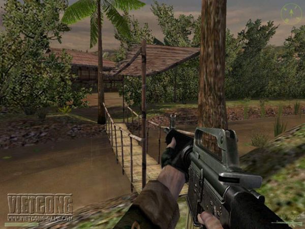 Jungle bridge