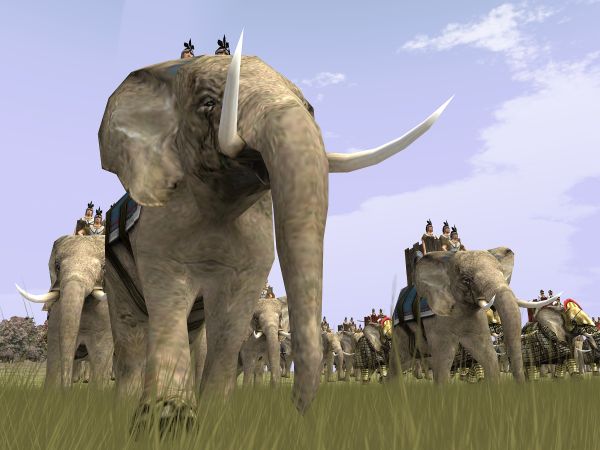 War elephants