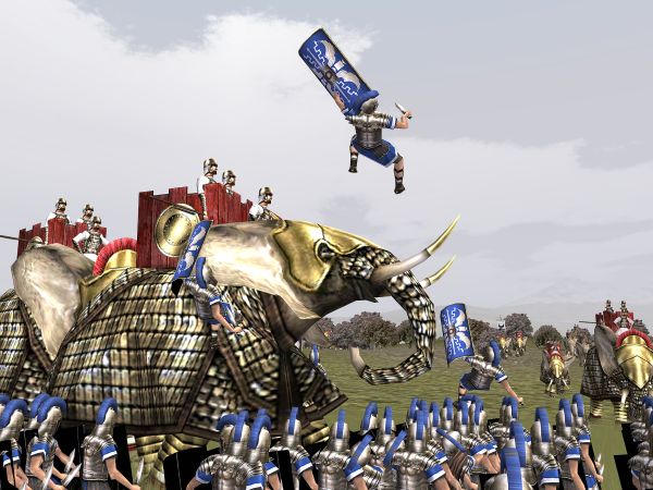 Elephant ride