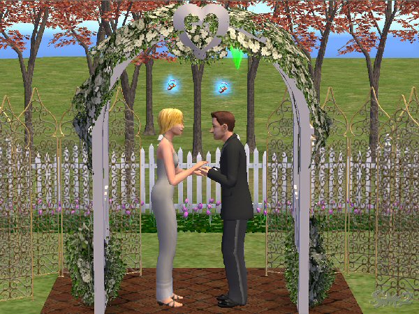 Wedding