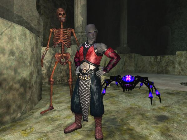 Befallen necromancer