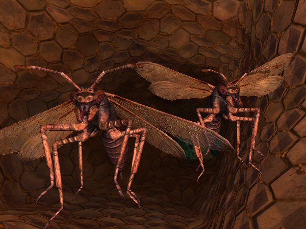Killer bees
