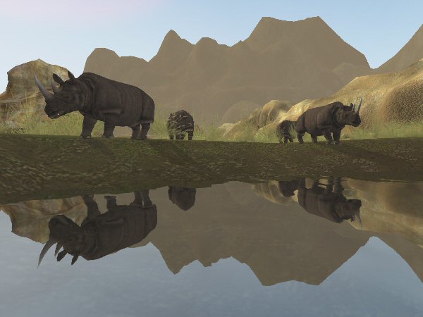 Rhinos enjoy a watering hole