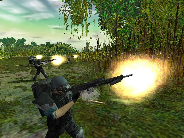 Jungle fire