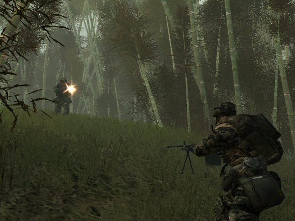 Jungle fight