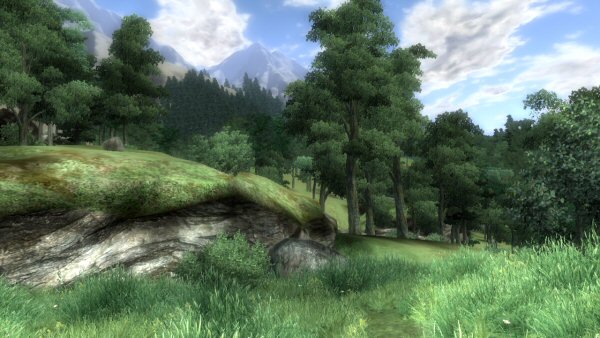 Landscape