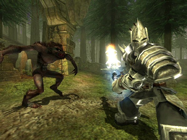 Knight versus wolf