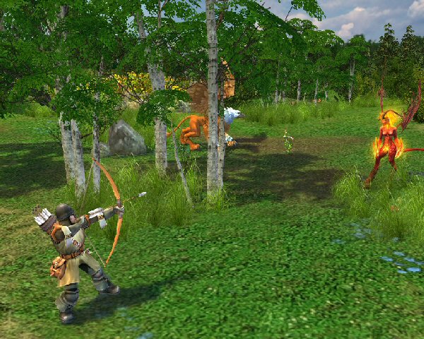Forest battle