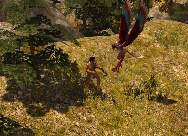 Harpy