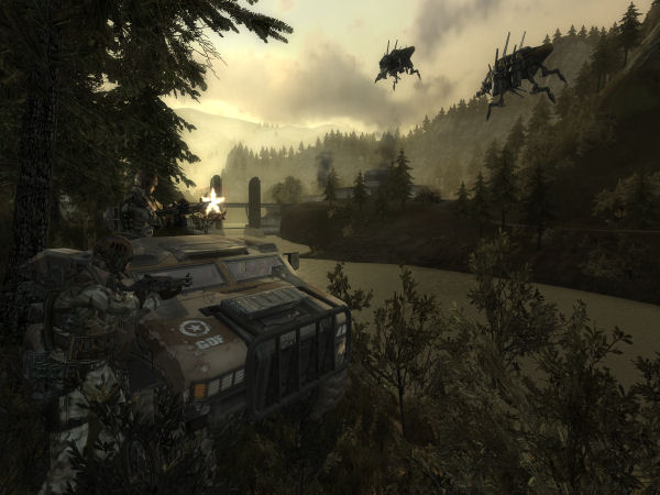 The valley