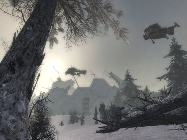 Arctic flight