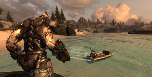 Insight Island