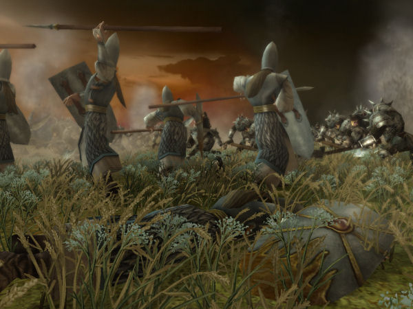 Fallen warrior