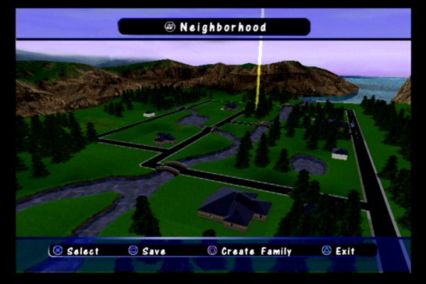 The neighborhood