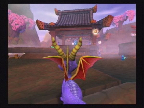 Enter the dojo