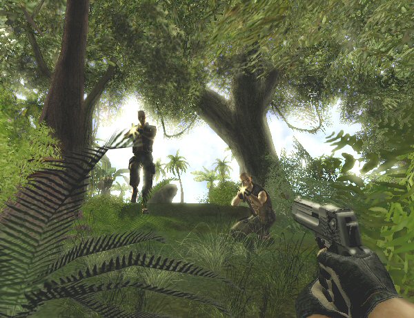 Jungle combat