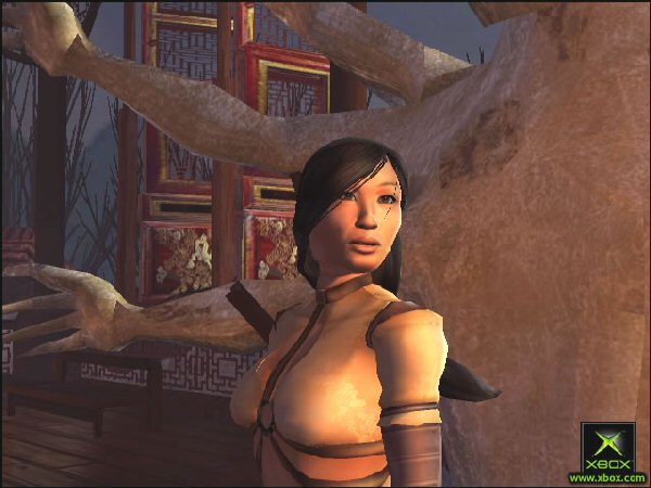 Beautiful warrior