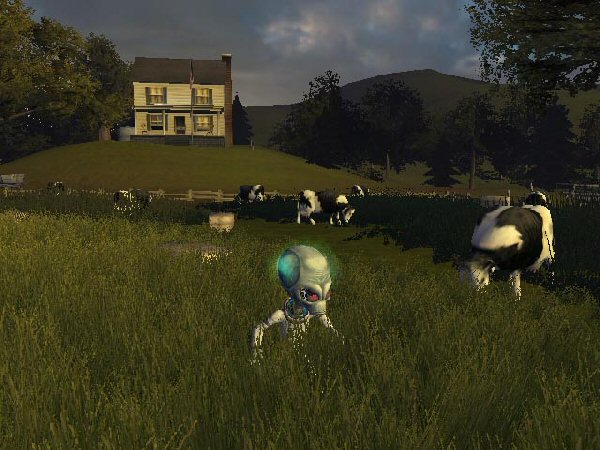 Checking out the cows
