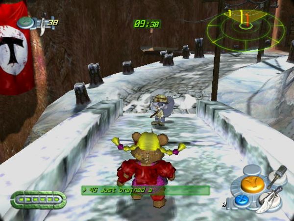Ice path