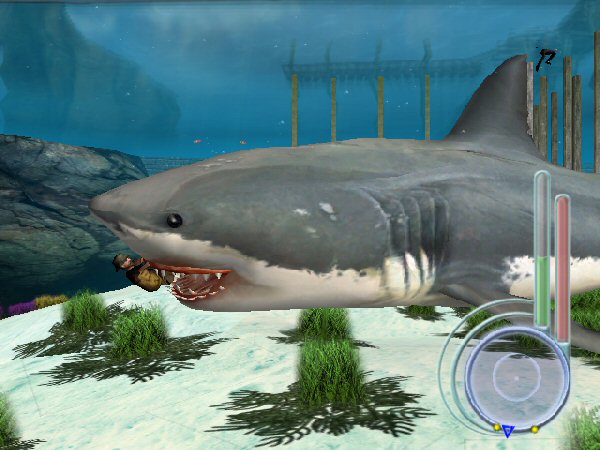 Great white