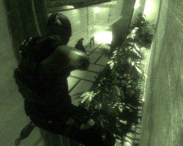 Watching from up high