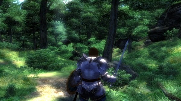 Forest stroll