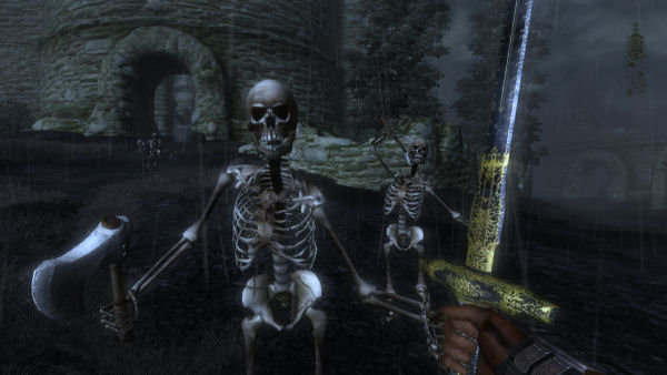 Skeleton fort