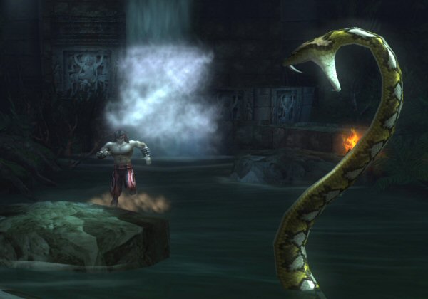Snake attacks