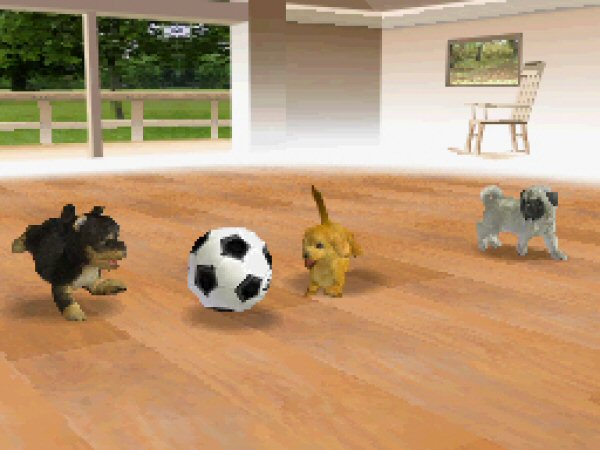 Soccer game