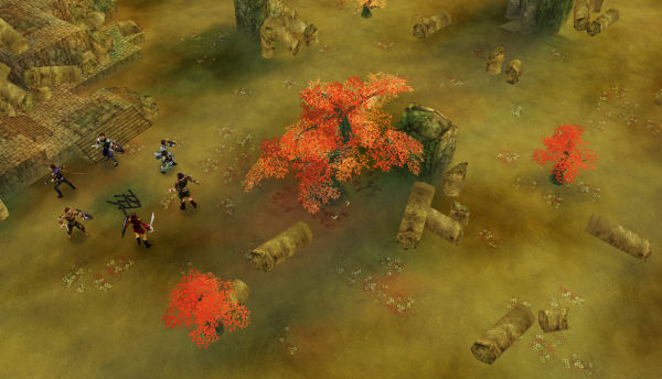 Fall colors