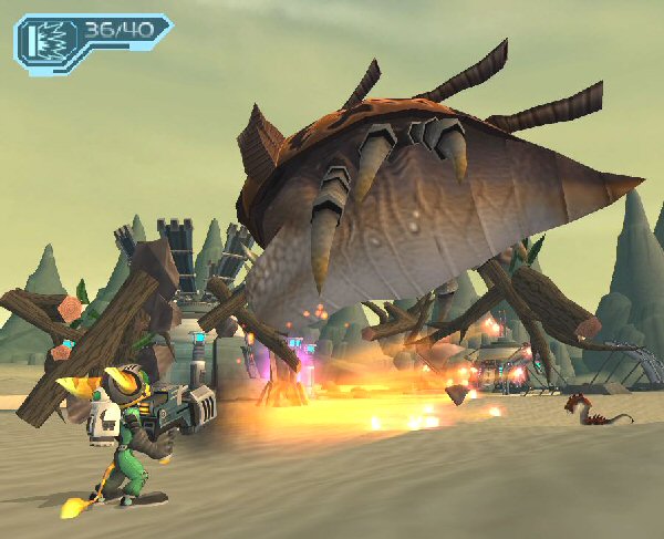 One big bug
