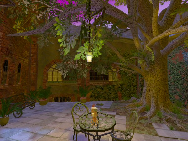 Backyard