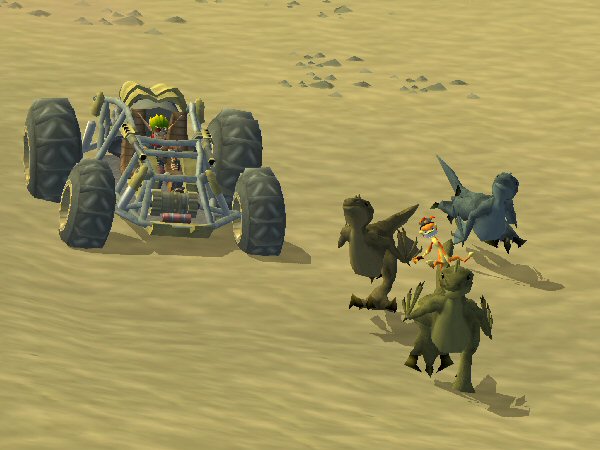 Desert critters