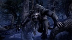 The Elder Scrolls Online: Tamriel Unlimited thumb 45