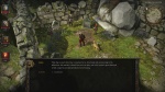 Divinity: Original Sin thumb 14