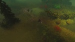 Divinity: Original Sin thumb 35