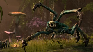 The Elder Scrolls Online thumb 11