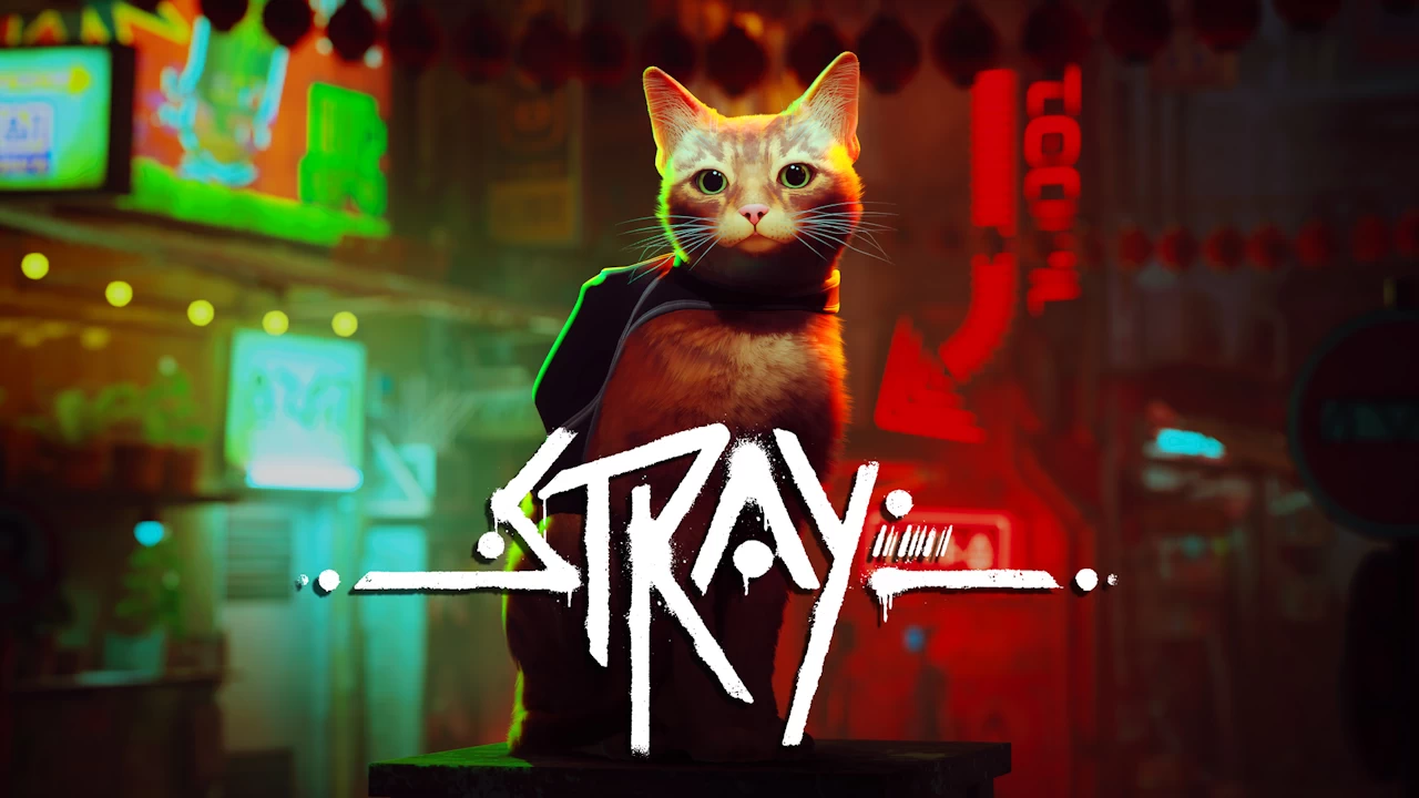 Stray comes home to Switch 2
