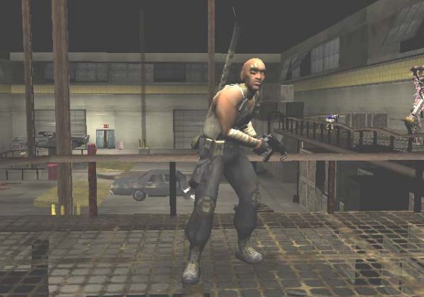 hunter the reckoning wayward