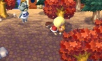 Animal Crossing: New Leaf thumb 16